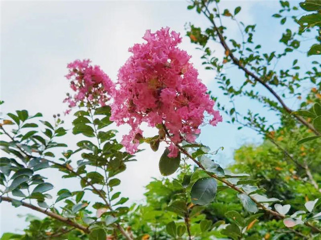 呼吸鮮氧，踐行公益——廣東博皓公益活動(dòng)：星溪線公益環(huán)?；顒?dòng)   -5