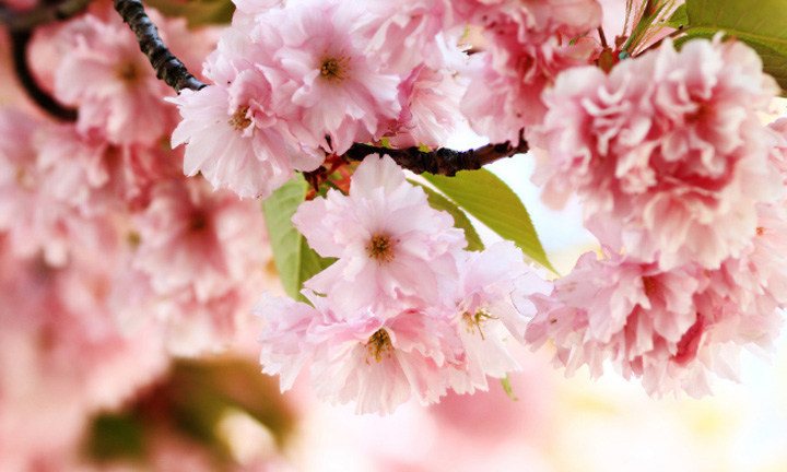 春暖花開時節,2021年博皓“鷹之家”學習組織班委換屆盛典