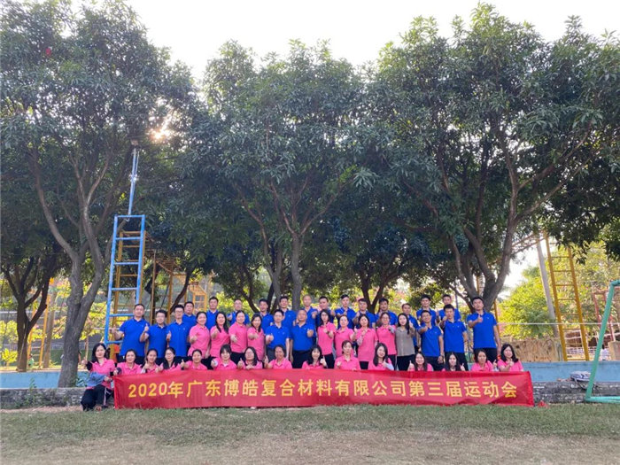 廣東博皓是華南乃至中國品種最齊全、服務最快捷的復合材料(玻璃鋼)原（輔）材料供應商