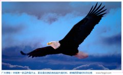 業績的背后 業績的背后