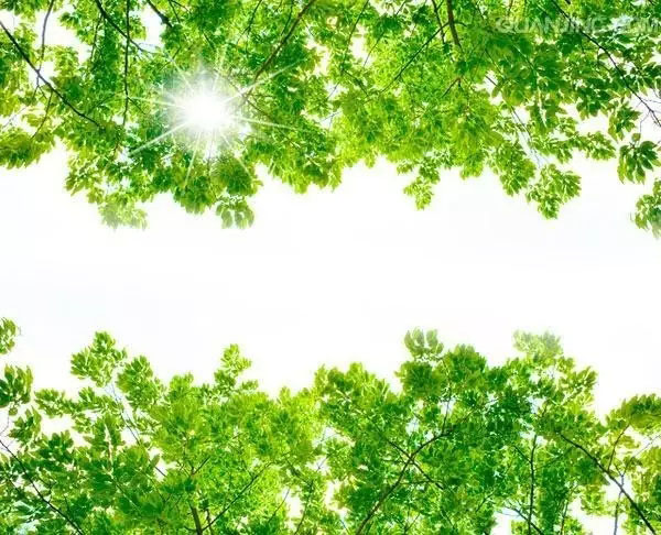 人生實苦，但請你足夠相信！